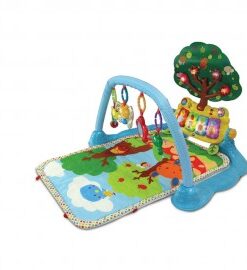 Covoras joaca vtech 190603