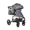 Carucior 2 in 1 cu suspensii Gala Premium Panther Carucior 2 in 1 cu suspensii Gala Premium Panther